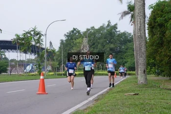 Runner Photo 3308039