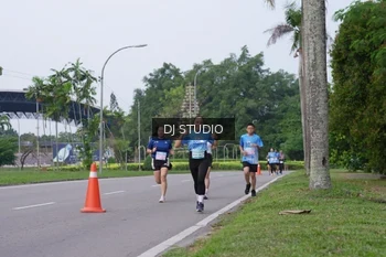 Runner Photo 3308042