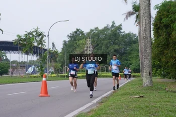 Runner Photo 3308052