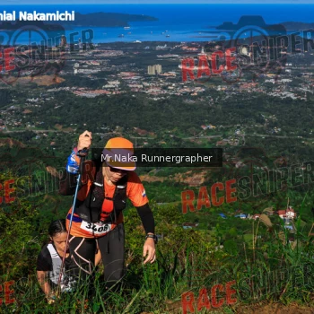 Runner Photo 330849