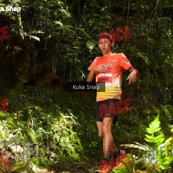 Runner Photo 330997