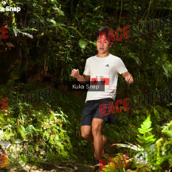 Runner Photo 331000
