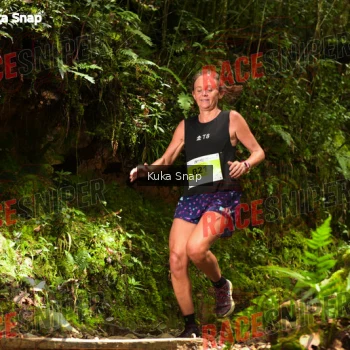 Runner Photo 331015