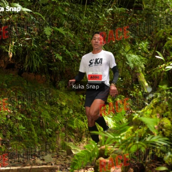 Runner Photo 331017