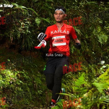 Runner Photo 331019