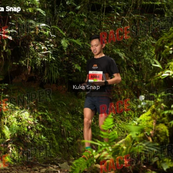 Runner Photo 331020