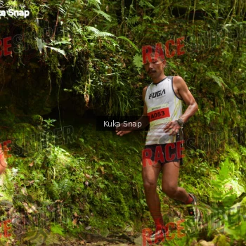 Runner Photo 331021