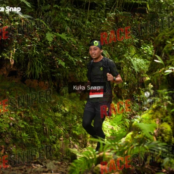 Runner Photo 331022