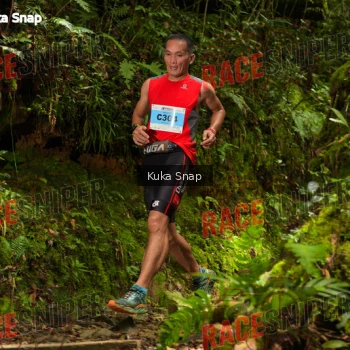Runner Photo 331026