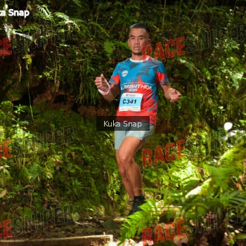 Runner Photo 331027
