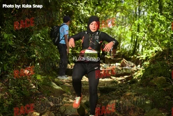 Runner Photo 331072