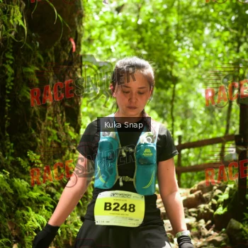 Runner Photo 331141