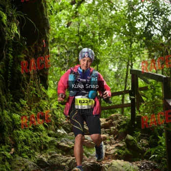 Runner Photo 331145