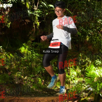 Runner Photo 331230