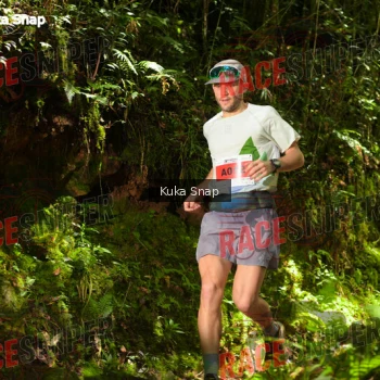 Runner Photo 331231