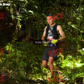 Runner Photo 331232
