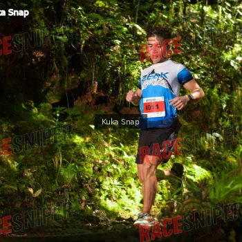 Runner Photo 331250