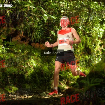 Runner Photo 331257