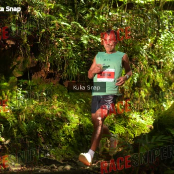 Runner Photo 331261