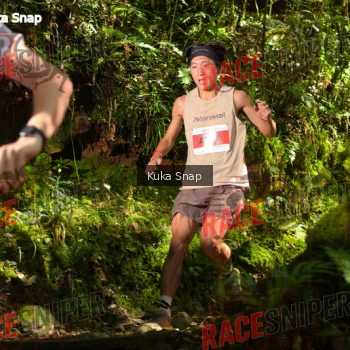 Runner Photo 331263