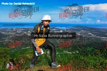Runner Photo 331274