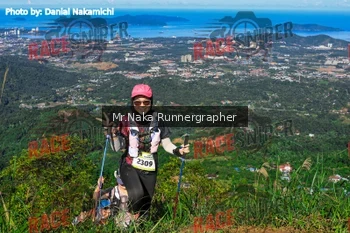 Runner Photo 331370
