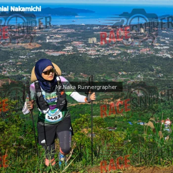 Runner Photo 331455