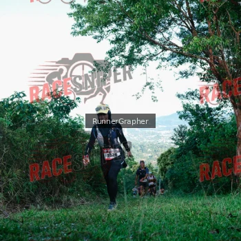 Runner Photo 331609