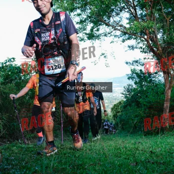 Runner Photo 331678