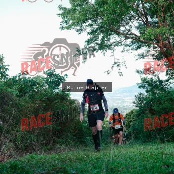 Runner Photo 331699