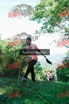 Runner Photo 332378