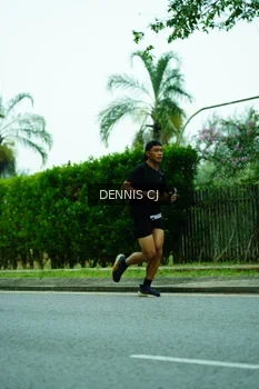 Runner Photo 3337044