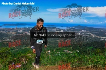 Runner Photo 334543