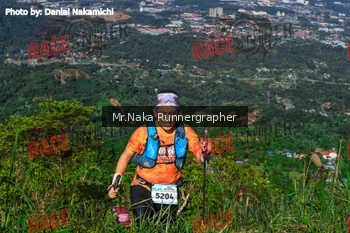 Runner Photo 334568