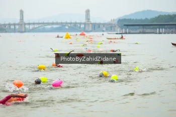 Runner Photo 3351078