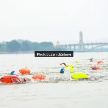 Runner Photo 3351149