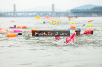 Runner Photo 3351211
