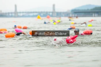 Runner Photo 3351215