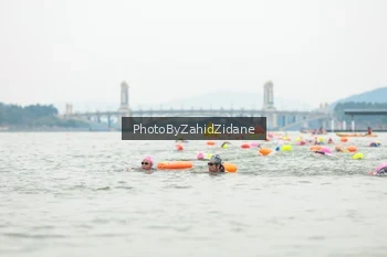 Runner Photo 3351290