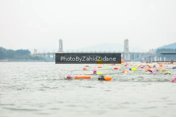 Runner Photo 3351294