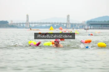 Runner Photo 3351384