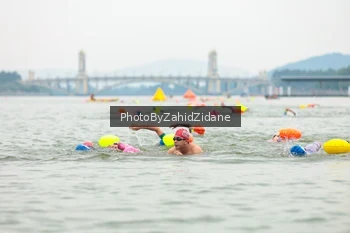 Runner Photo 3351385