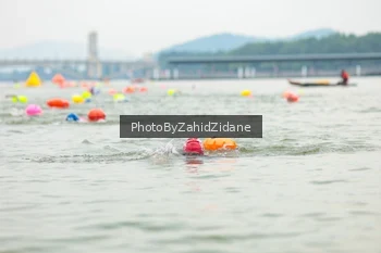 Runner Photo 3351404