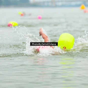 Runner Photo 3351527