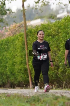 Runner Photo 3353404