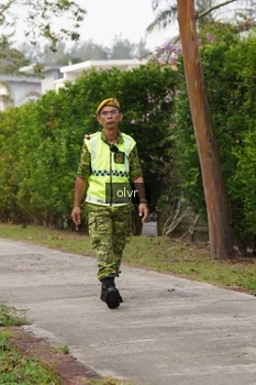 Runner Photo 3353669