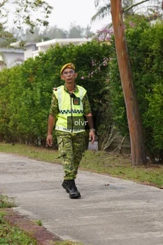 Runner Photo 3353672
