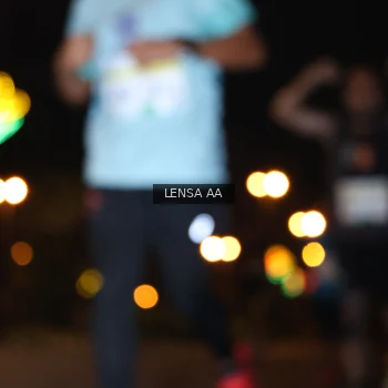 Runner Photo 3356600