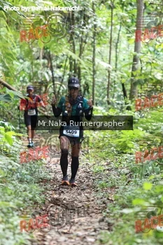 Runner Photo 335686