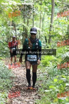 Runner Photo 335691